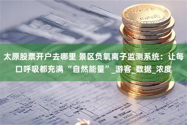 太原股票开户去哪里 景区负氧离子监测系统：让每口呼吸都充满 “自然能量”_游客_数据_浓度